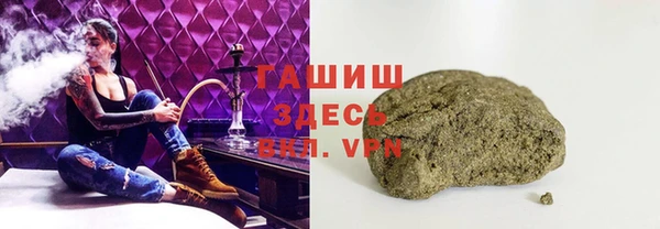молекула духа Богданович