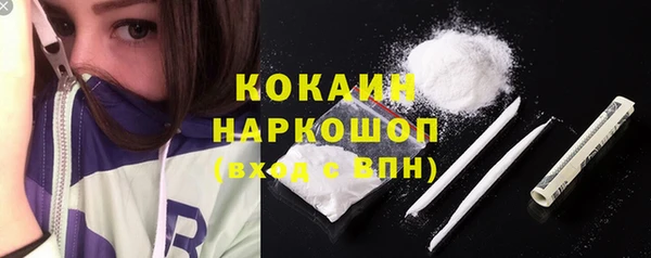 молекула духа Богданович