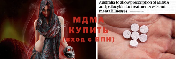 молекула духа Богданович