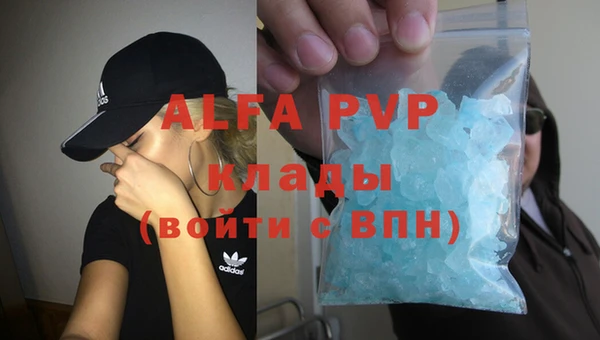 мяу мяу мука Бородино