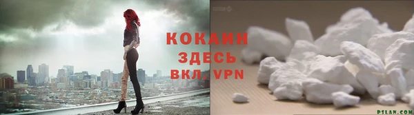 мяу мяу мука Бородино