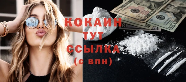 мяу мяу мука Бородино
