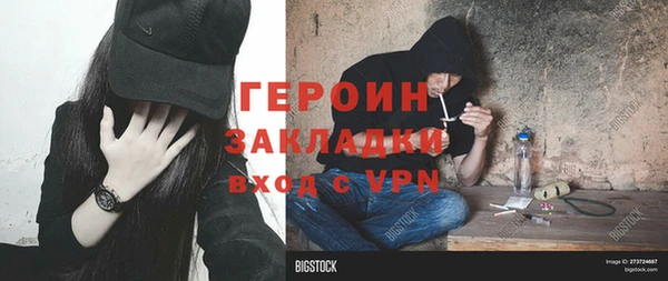 молекула духа Богданович