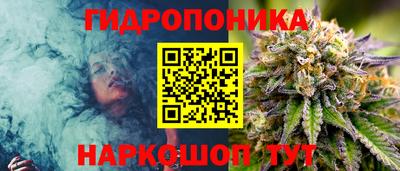 spice Чапаевск