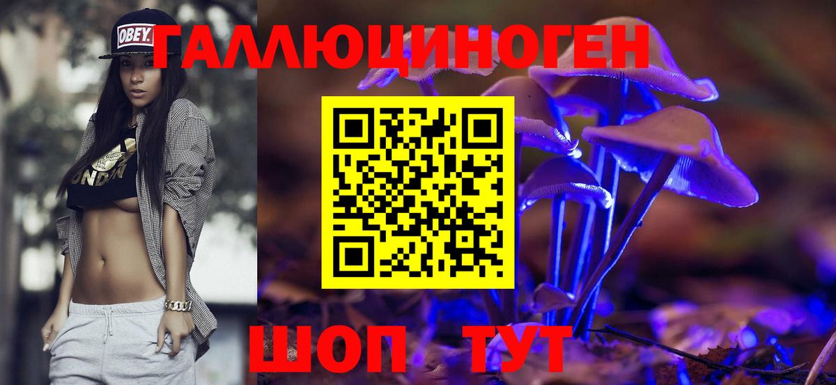 Обь  Галлюциногенные грибы прущие грибы  Вход с VPN 